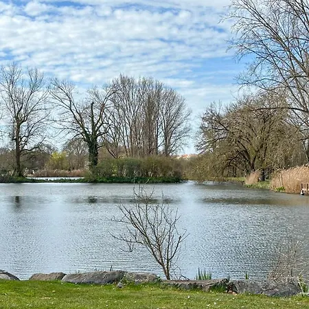 Beautiful In With Wifi *